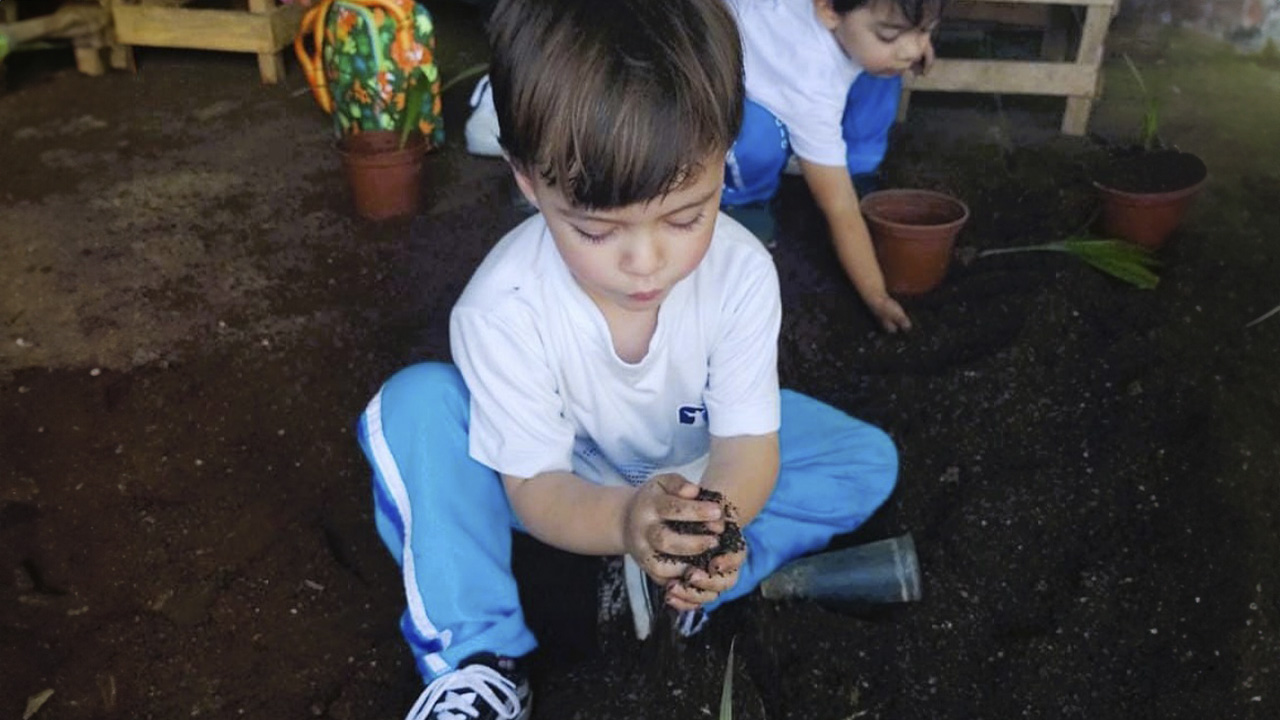 Curiosos por Natureza