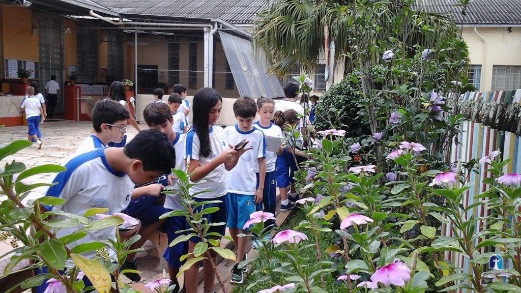 Observando o Meio Ambiente - Ciências - 6º ano - Professora Sonia Teixeira