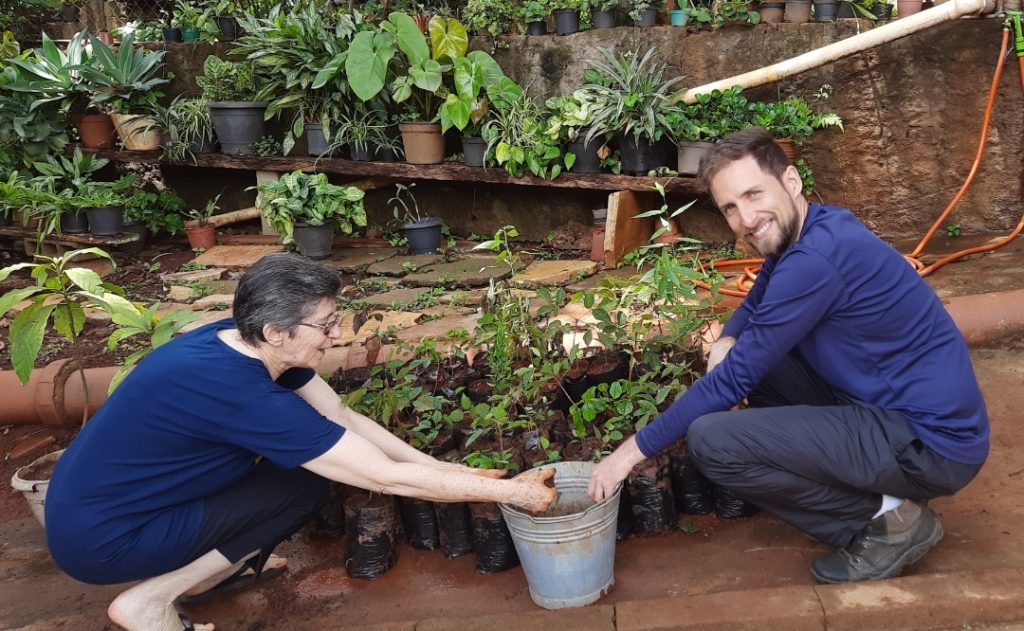 Produção de mudas para plantio em Baependi