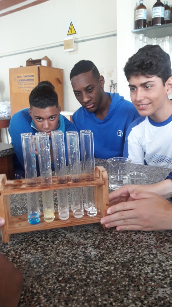 Química no Colégio – Experiência para a Vida