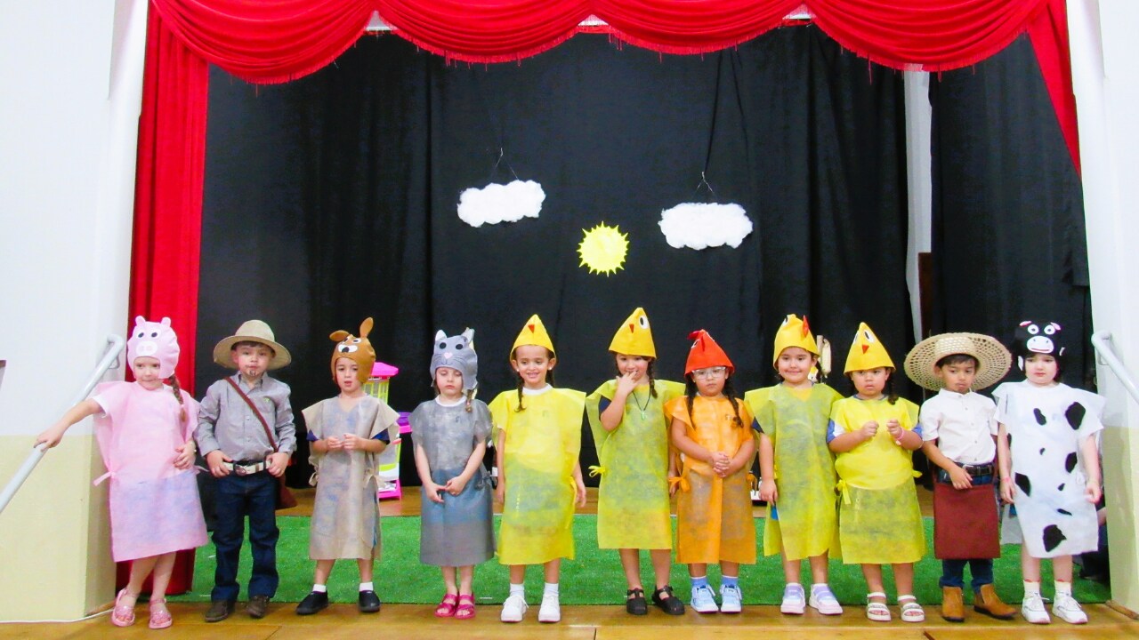 Projeto Literário "A Galinha Ruiva"